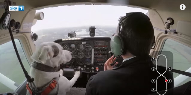 a dog and a man in a cockpit