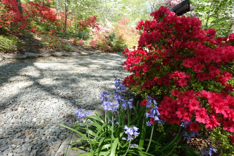 a gravel path with flowers and trees