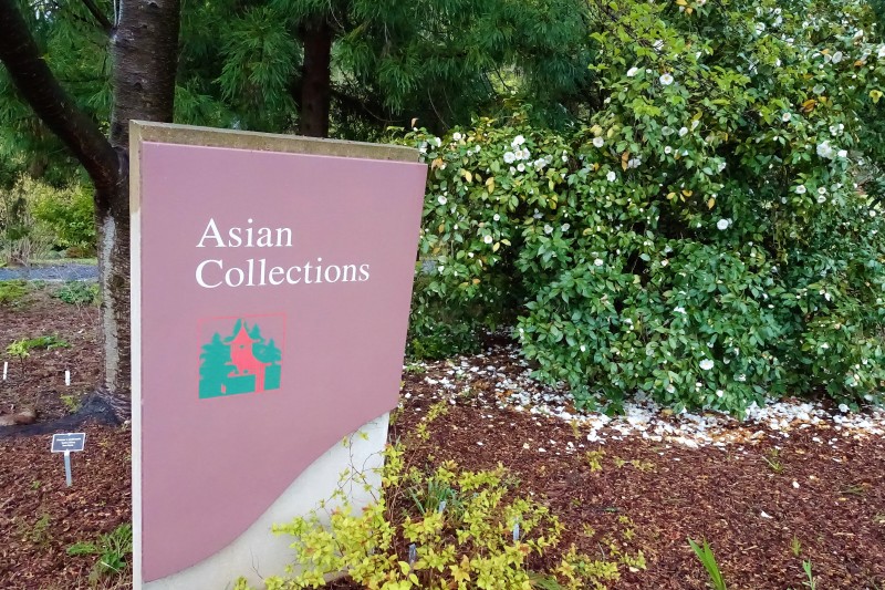 National Arboretum DC asian woodlands sign
