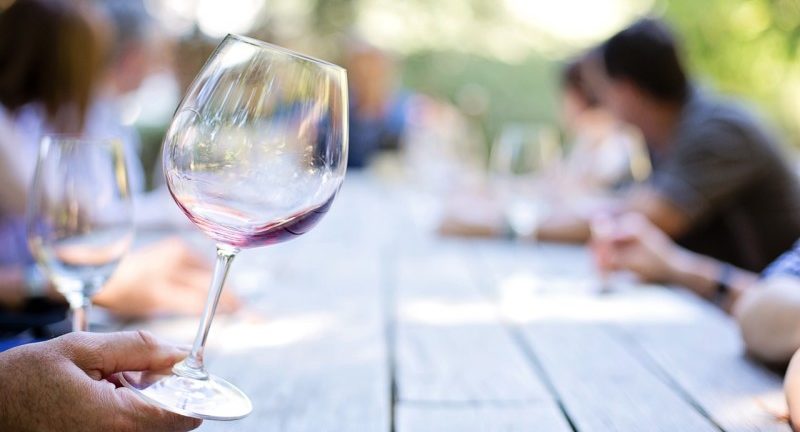 a person holding a glass of wine