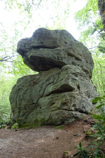 a large rock in the woods