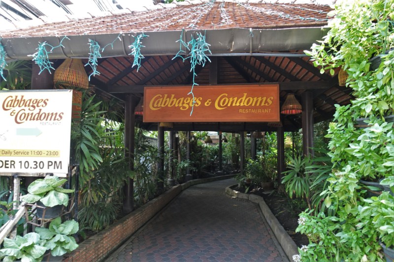 a walkway with a sign and plants