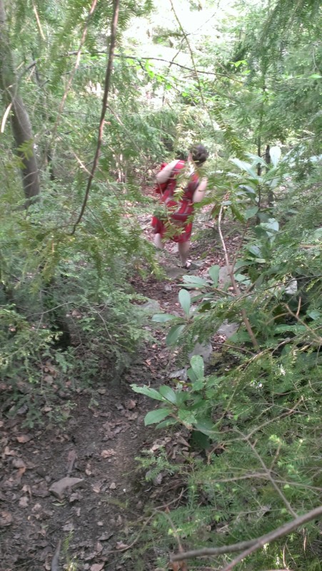 a person in a red dress walking through a forest