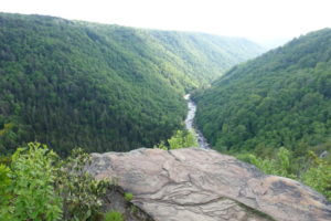 a river flowing through a valley of trees