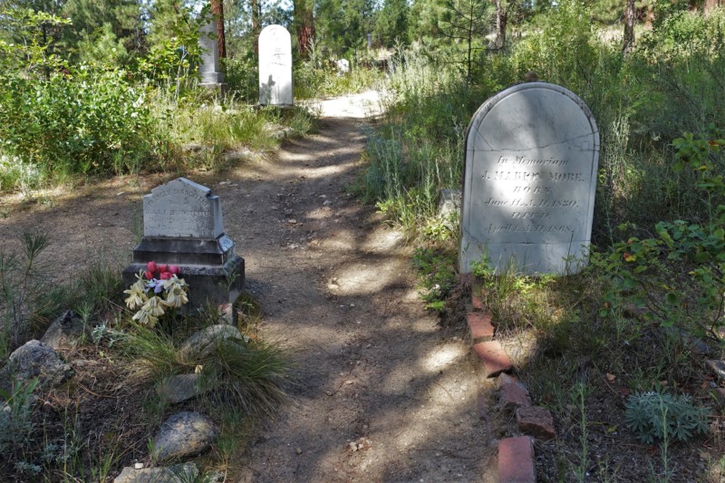 a path with tombstones in the middle of a forest