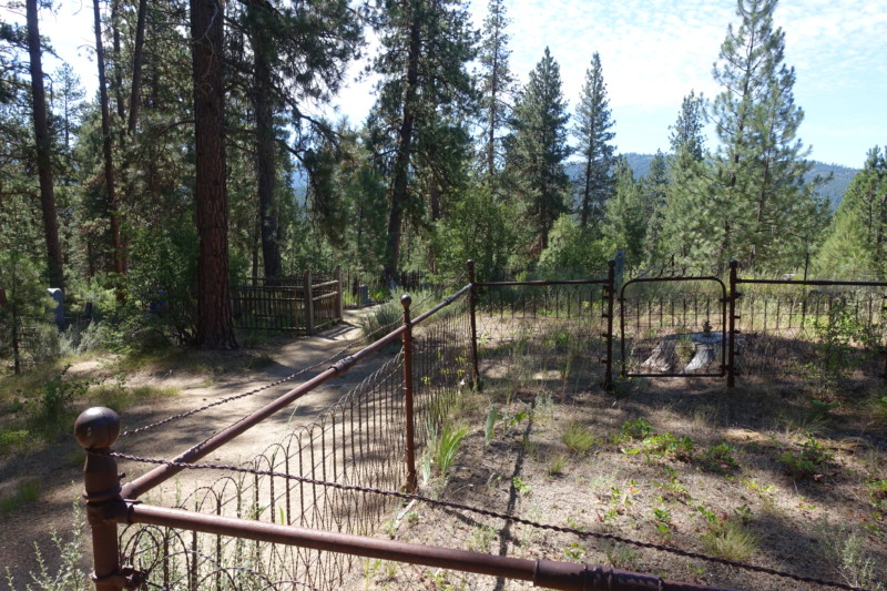 a fenced in area with trees