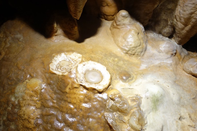a close-up of a cave