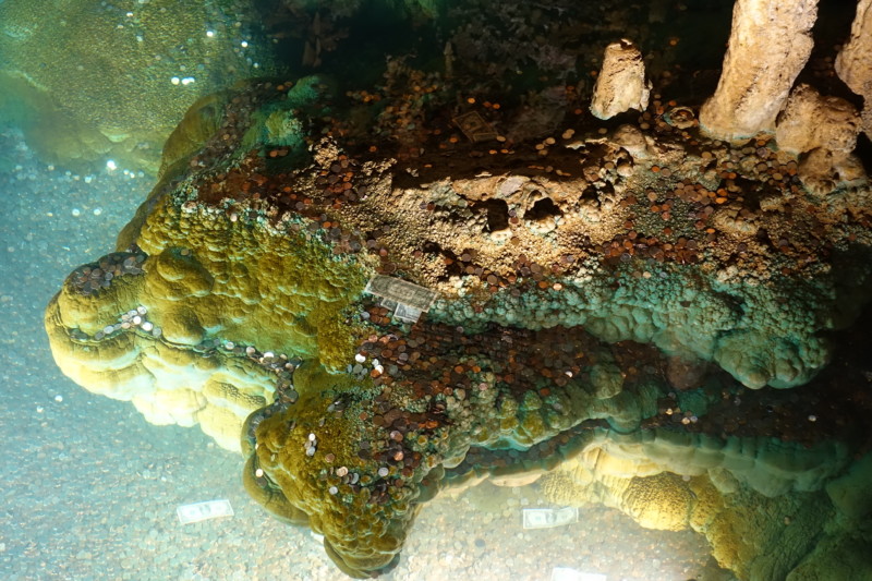 a underwater view of a rock with coins and money
