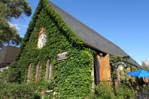 a building covered in ivy