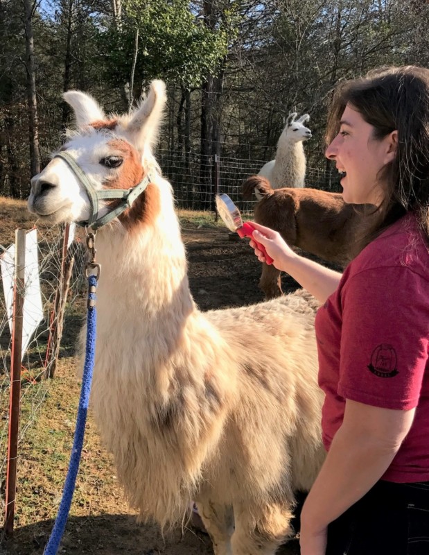 a woman looking at a magnifying glass next to a llama