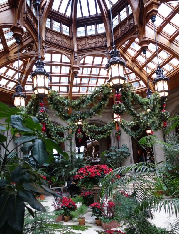 a glass ceiling with lights and plants