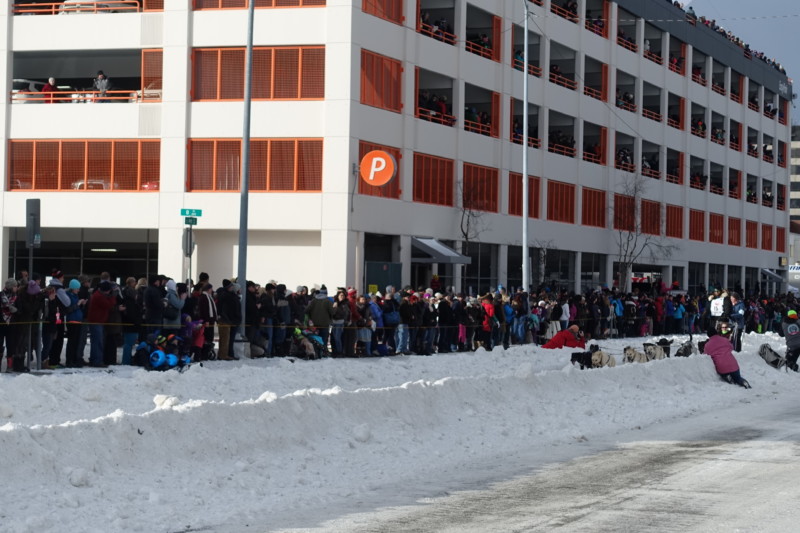 2016 Iditarod Race downtown anchorage course
