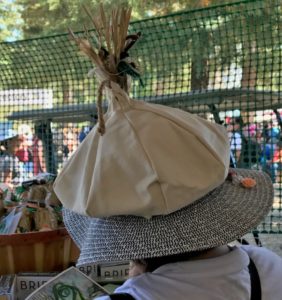 a person wearing a hat