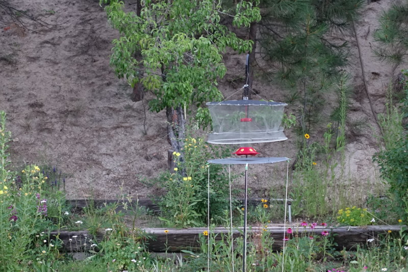 a bird feeder in a garden