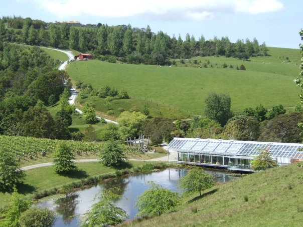 a glass house in a green field