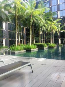 a pool with palm trees and a building in the background