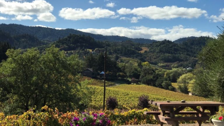 Review: Visiting California Wine Country After the Fires