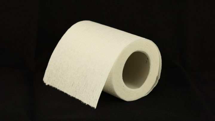a roll of toilet paper