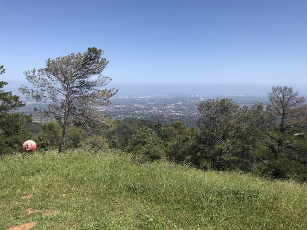 Ridge Vineyards Cupertino: A view to match their wine